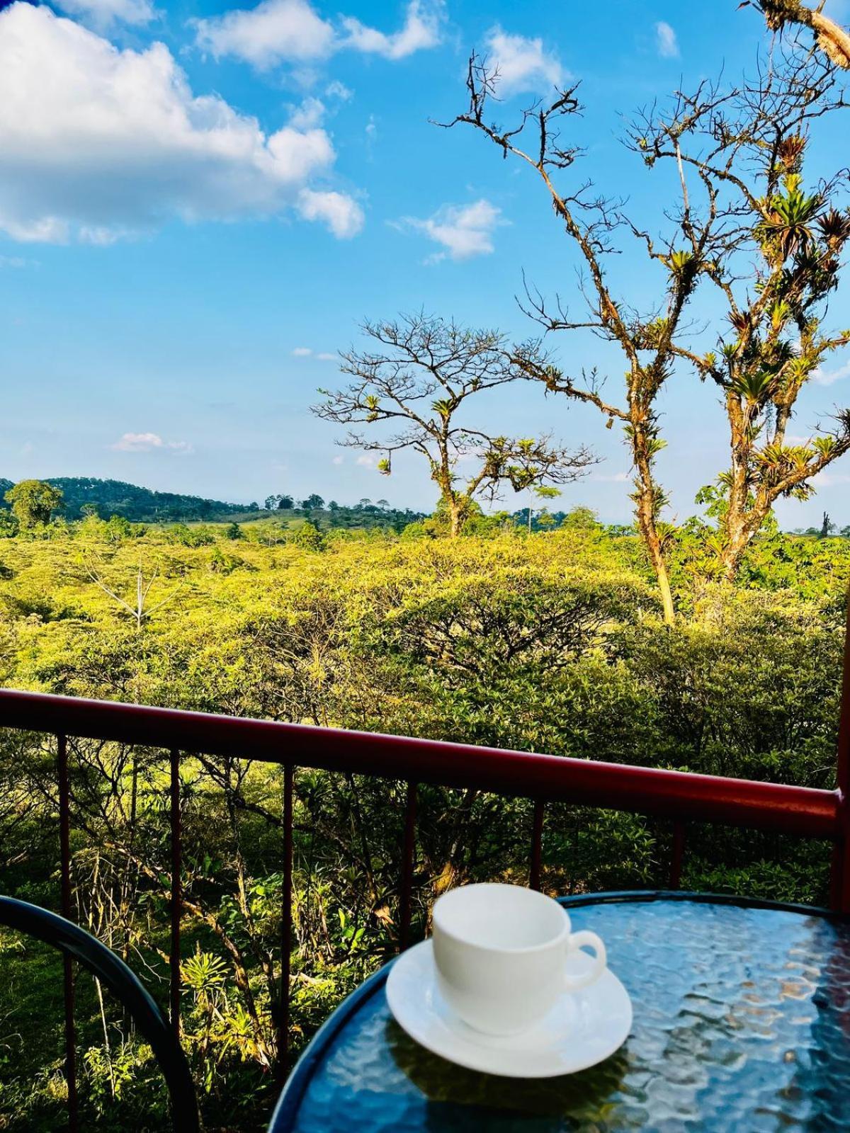 Garza Del Sol Glamping Rio Celeste Buganvilia Luaran gambar